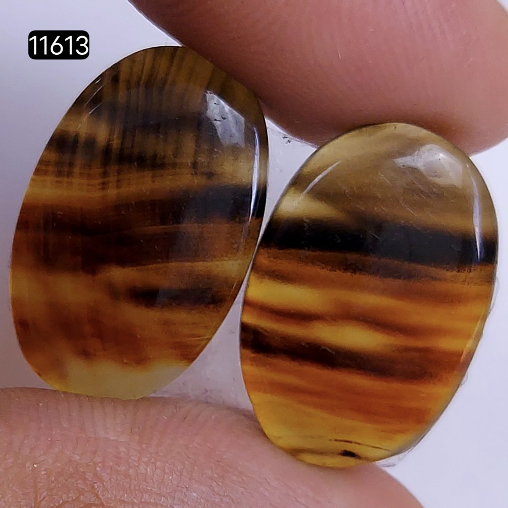 1 Pairs 21Cts Natural Montana Loose Cabochon Flat Back Gemstone Pair Lot Earrings Crystal Lot for Jewelry Making Gift For Her 22x14mm #11613