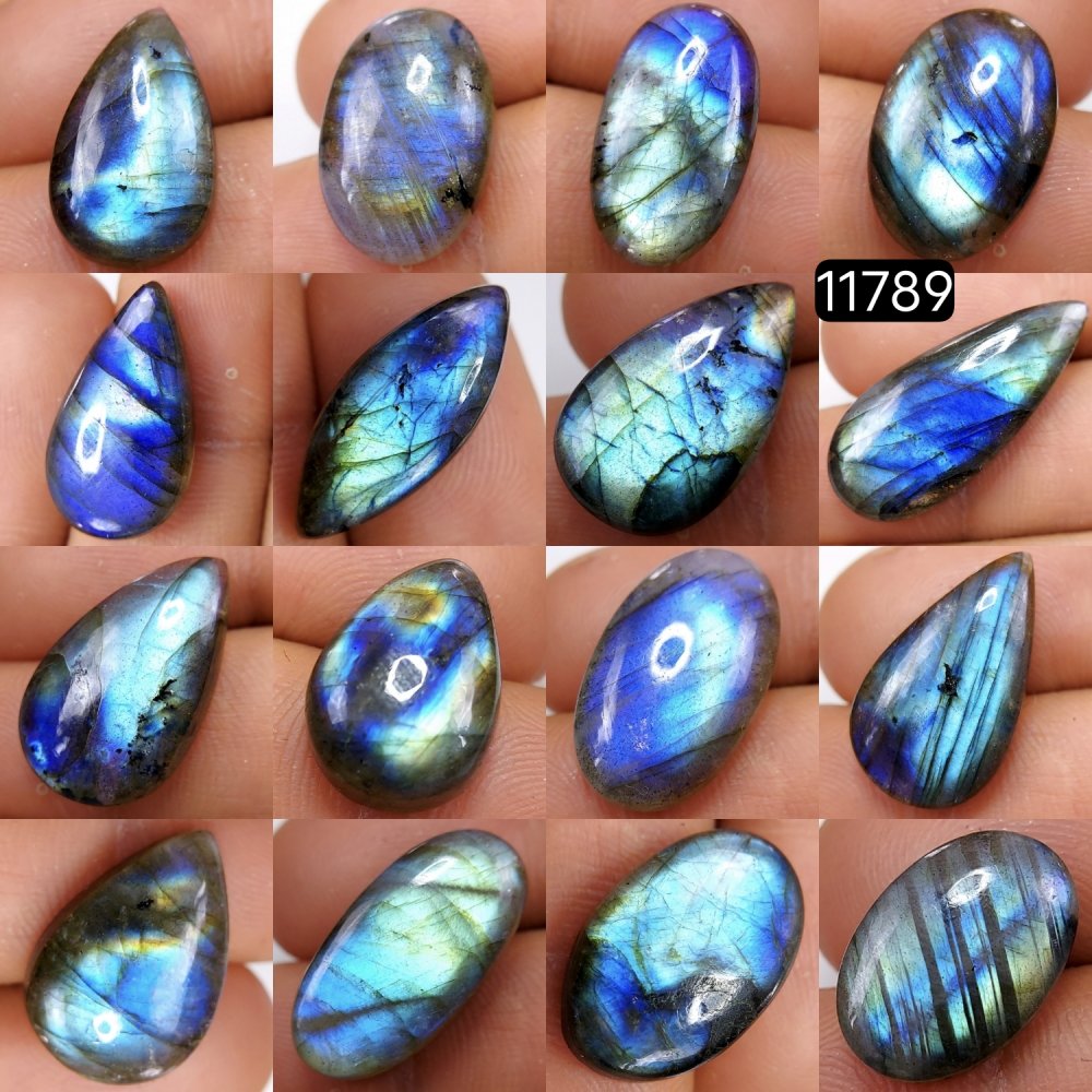 16 Pcs 204 Cts Natural Labradorite Cabochon Loose Gemstone Jewelry Wire Wrapped Pendant Semi-Precious Healing Crystal Lots 29X13-19X11mm #11789