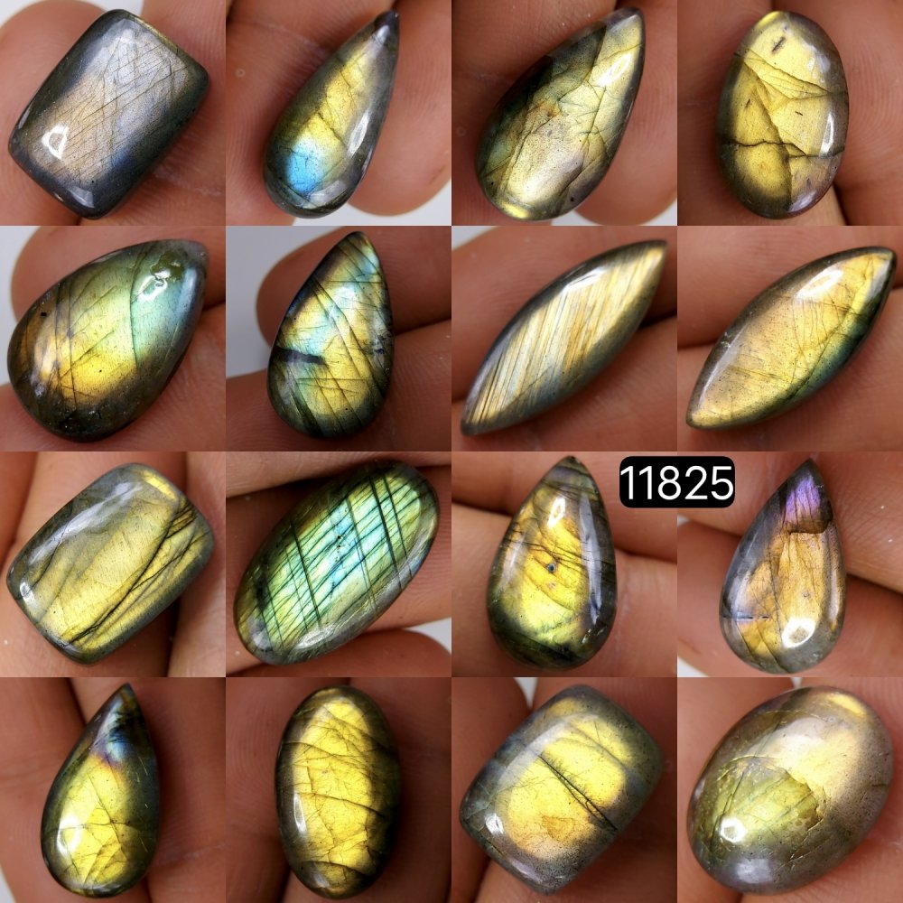 16 Pcs 190 Cts Natural Labradorite Cabochon Loose Gemstone Jewelry Wire Wrapped Pendant Semi-Precious Healing Crystal Lots 24X13-15X11mm #11825