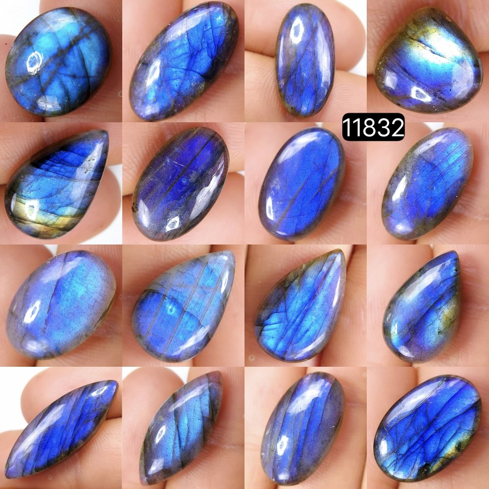 16 Pcs 177 Cts Natural Labradorite Cabochon Loose Gemstone Jewelry Wire Wrapped Pendant Semi-Precious Healing Crystal Lots 30X11-12X12mm #11832