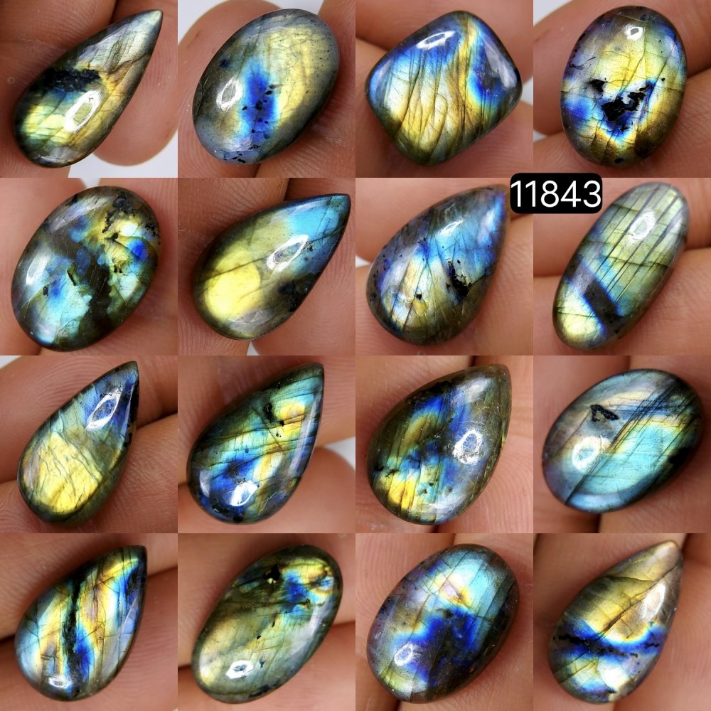 16 Pcs 175 Cts Natural Labradorite Cabochon Loose Gemstone Jewelry Wire Wrapped Pendant Semi-Precious Healing Crystal Lots 27X12-17X11mm #11843