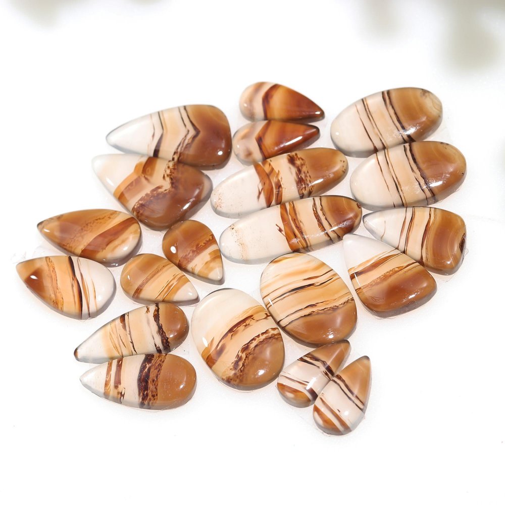 10 Pair 151 Cts Natural Brown Montana Agate Cabochon Loose Gemstone Crystal Pair Lot for Earrings 13x20-8x15mm #12256