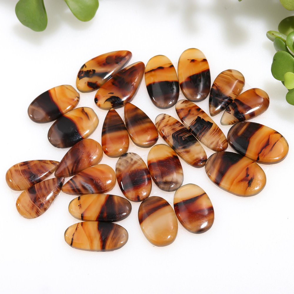 12 Pair 236 Cts Natural Brown Montana Agate Cabochon Loose Gemstone Crystal Pair Lot for Earrings 9x29-10x22mm #12261