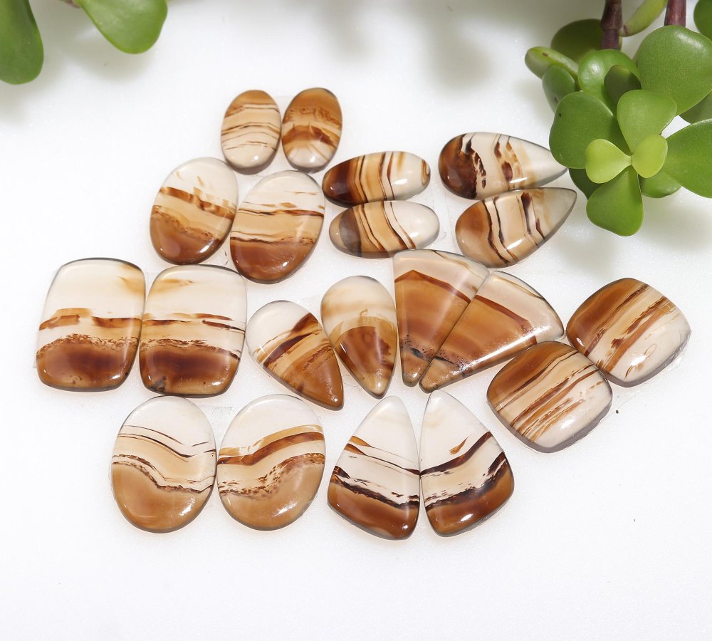 10 Pair 177 Cts Natural Brown Montana Agate Cabochon Loose Gemstone Crystal Pair Lot for Earrings 14x23-9x15mm #12262