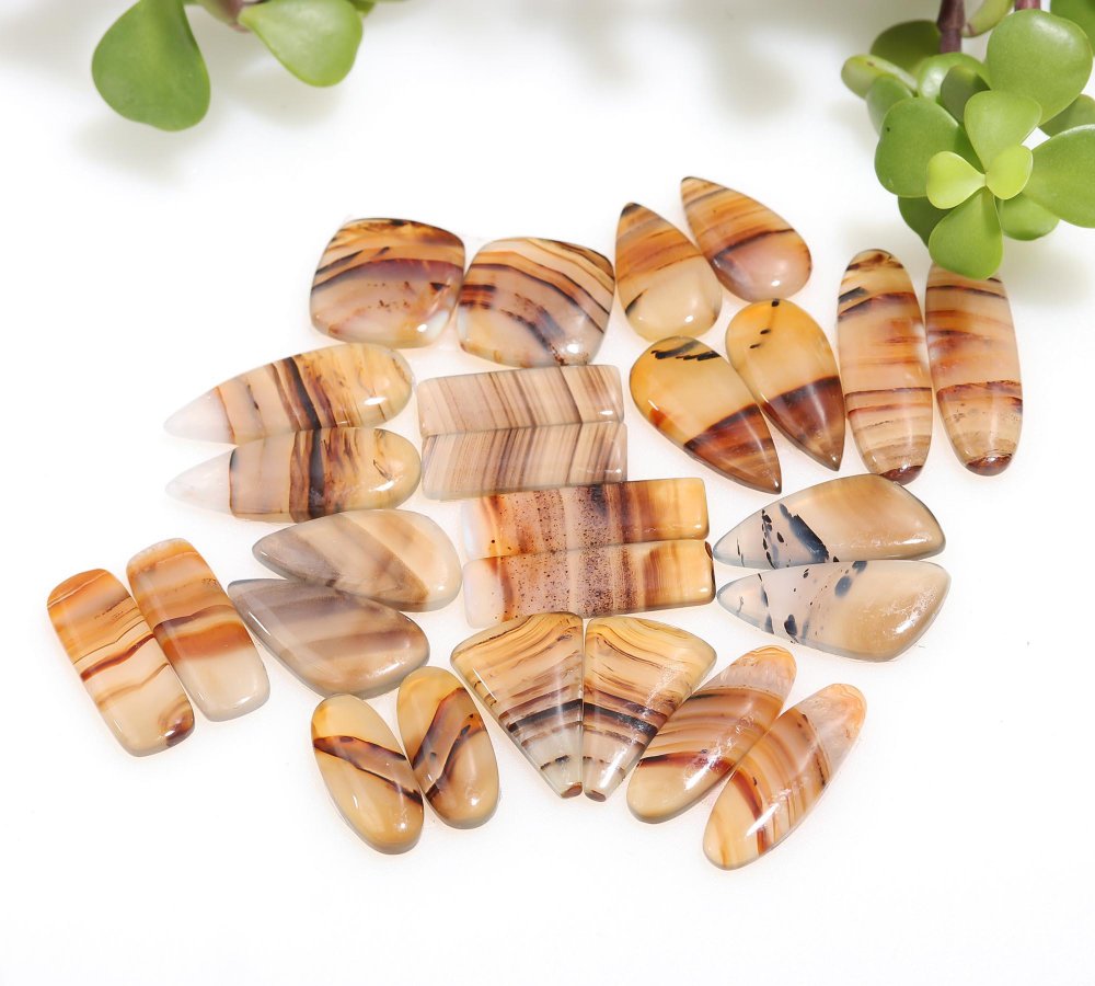 13 Pair 252 Cts Natural Brown Montana Agate Cabochon Loose Gemstone Crystal Pair Lot for Earrings 11x29-8x20mm #12263