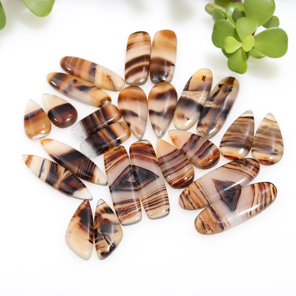 12 Pair 260 Cts Natural Brown Montana Agate Cabochon Loose Gemstone Crystal Pair Lot for Earrings 11x34-10x19mm #12265