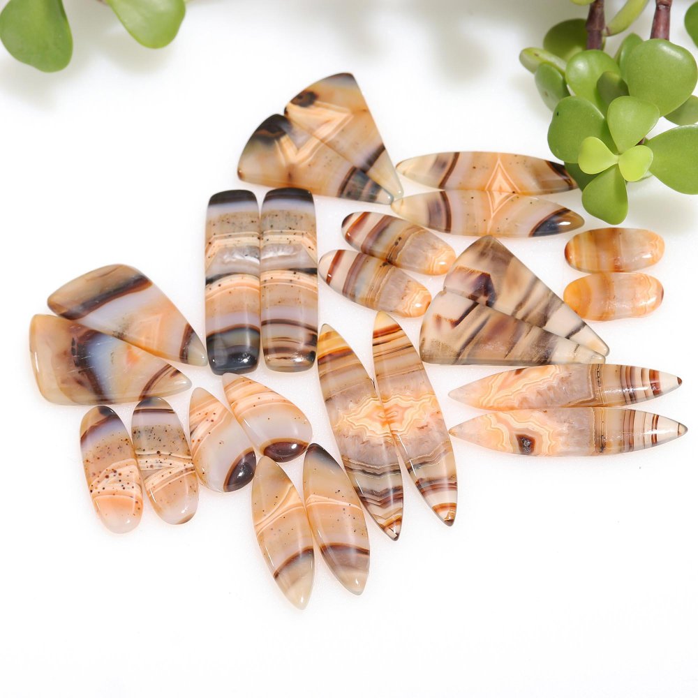 12 Pair 230 Cts Natural Brown Montana Agate Cabochon Loose Gemstone Crystal Pair Lot for Earrings 9x36-8x12mm #12267