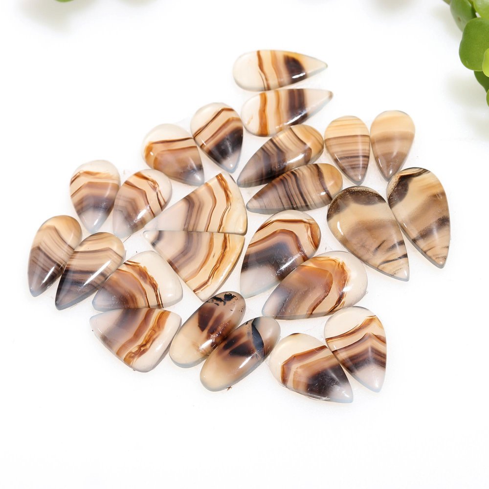 12 Pair 180 Cts Natural Brown Montana Agate Cabochon Loose Gemstone Crystal Pair Lot for Earrings 17x22-9x18mm #12268