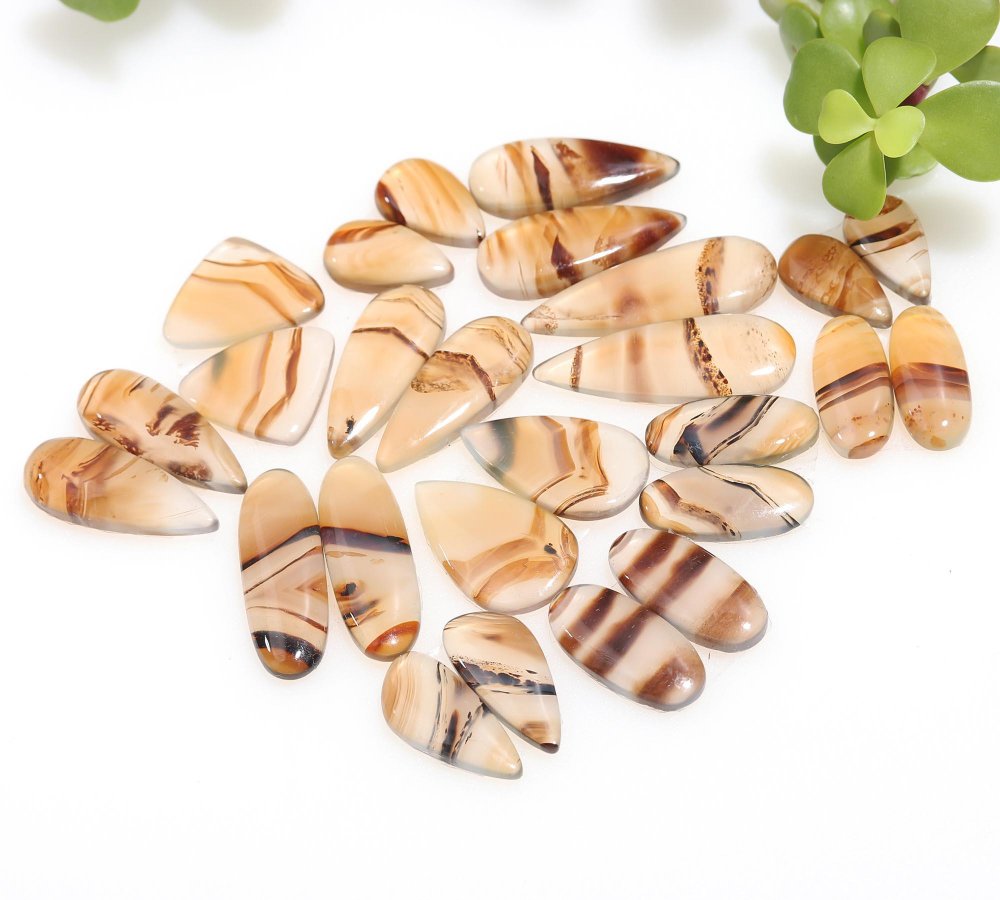 13 Pair 209 Cts Natural Brown Montana Agate Cabochon Loose Gemstone Crystal Pair Lot for Earrings 11x31-9x16mm #12271