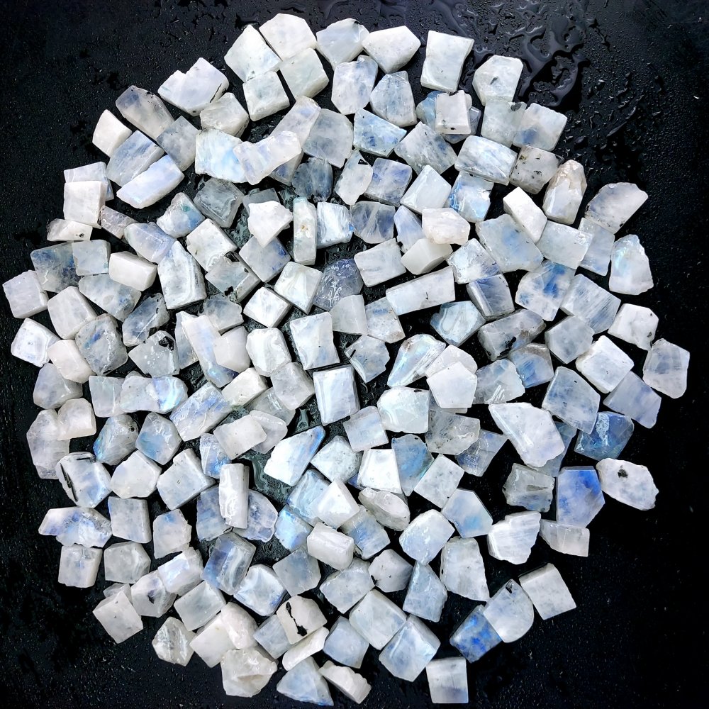 1576 Cts. Natural Blue Fire Rainbow Moonstone Rough Loose Gemstone Lot Size 10x11-10x25 mm.#R-12608