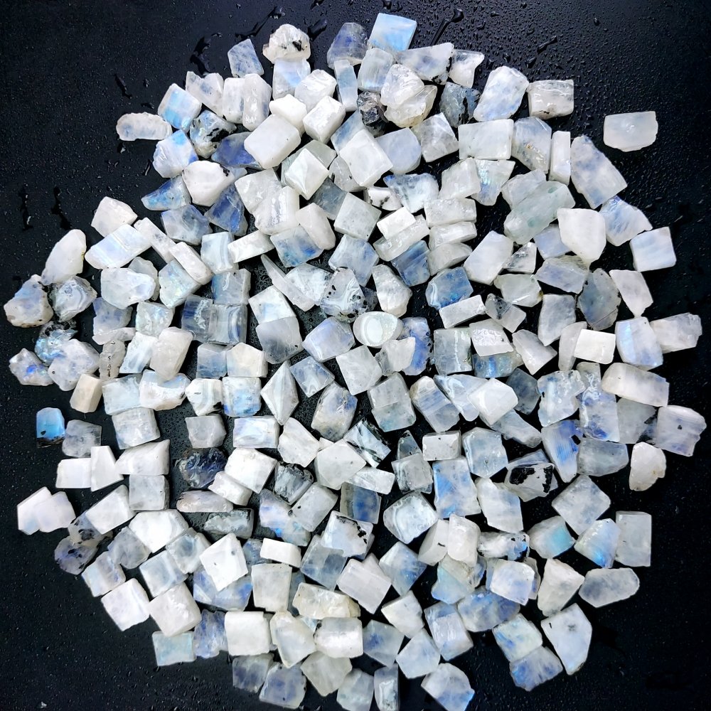 1311 Cts. Natural Blue Fire Rainbow Moonstone Rough Loose Gemstone Lot Size 8x9-8x16 mm.#R-12617