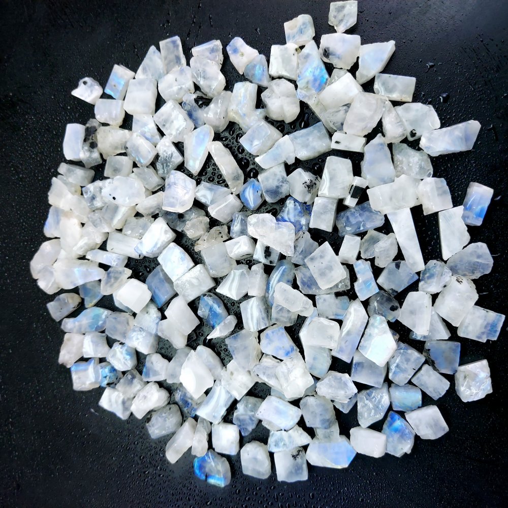 646 Cts. Natural Blue Fire Rainbow Moonstone Rough Loose Gemstone Lot Size 7x8-8x18 mm.#R-12640