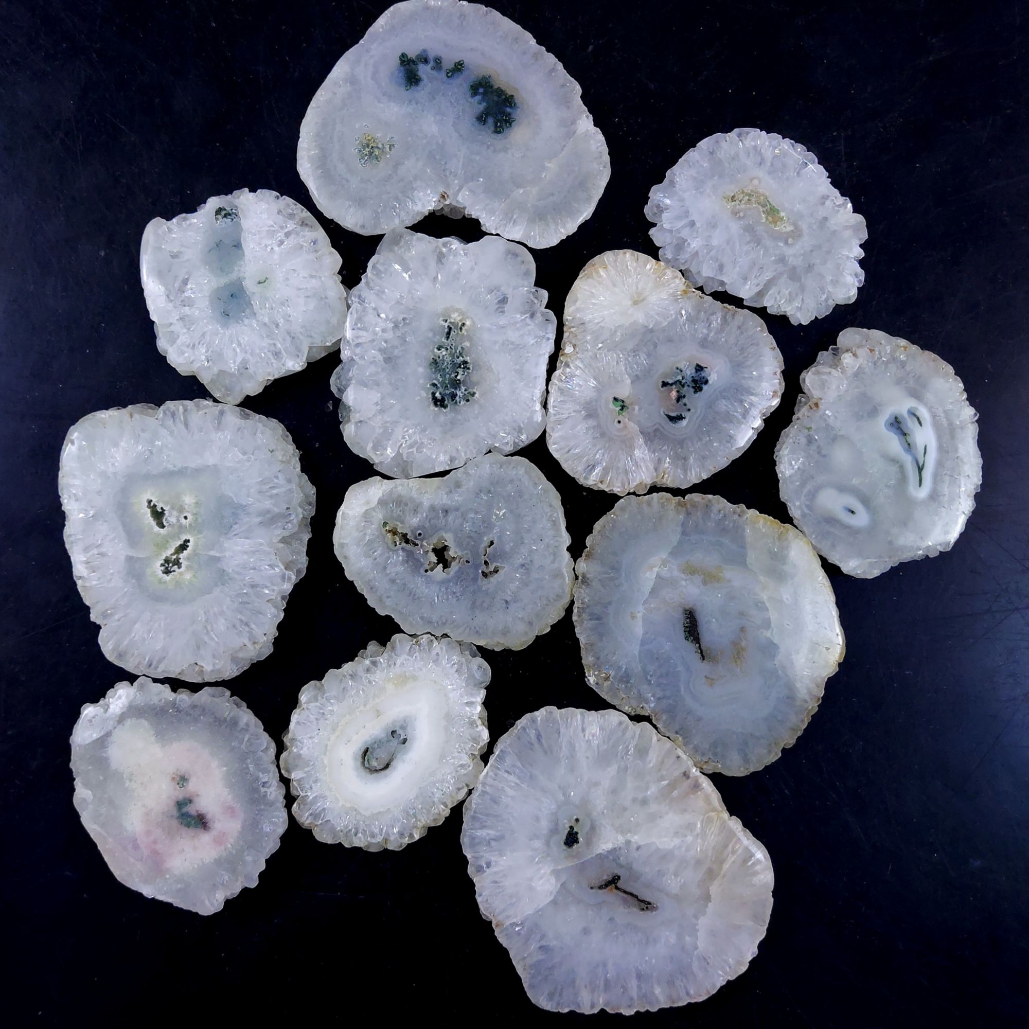 12Pcs 1078Cts Natural White Solar Quartz Silce Cabochon Gemstone Flat Back  Back Unpolished Lot50x40 32x28mmG-2114