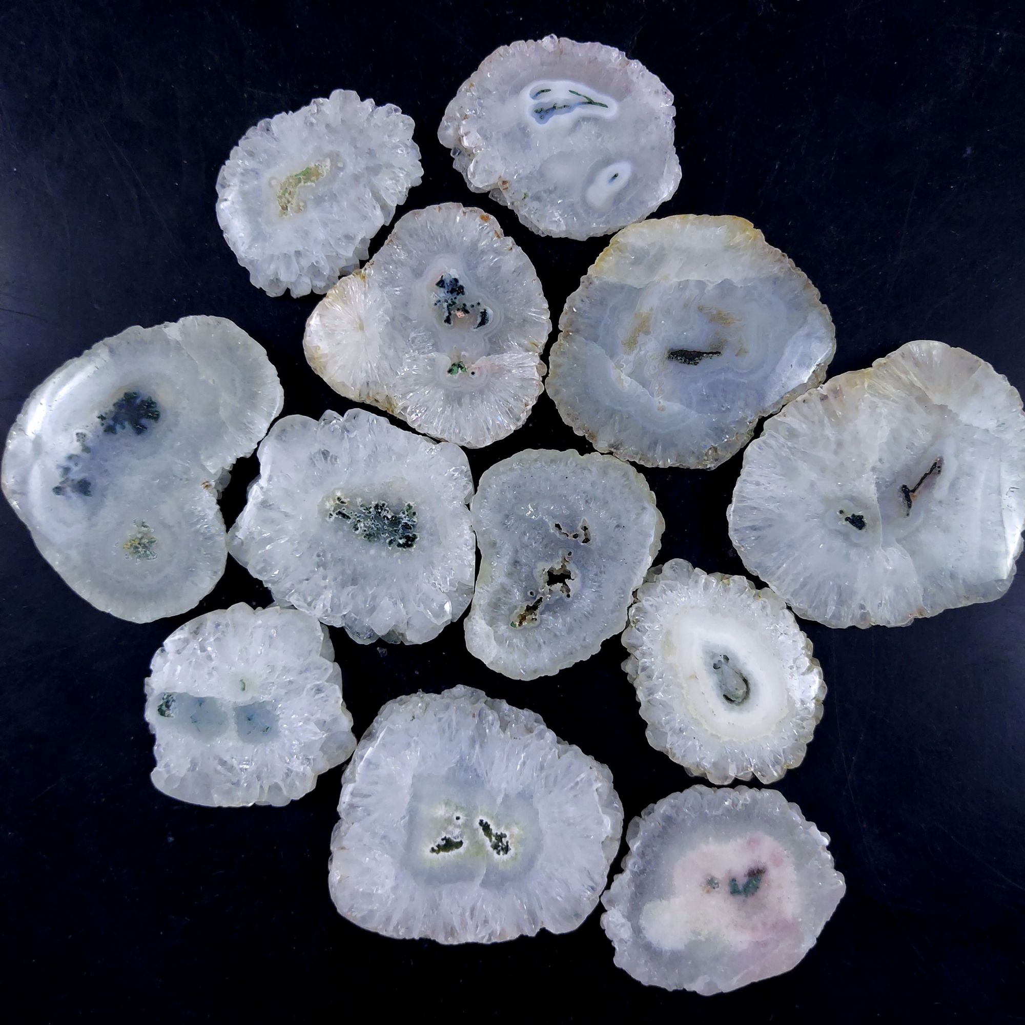 12Pcs 1078Cts Natural White Solar Quartz Silce Cabochon Gemstone Flat Back  Back Unpolished Lot50x40 32x28mmG-2114