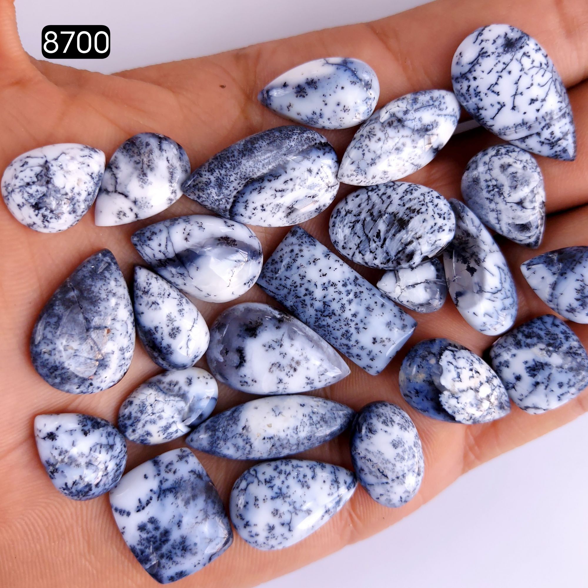 24Pcs 202Cts Natural Dendrite Opal Gemstone Black White Design Dendrite Opal Cabochon Flat Back Dendrite Opal Stone Both Side Polished Dendrite Opal Stone 25x12 16x11mm8700