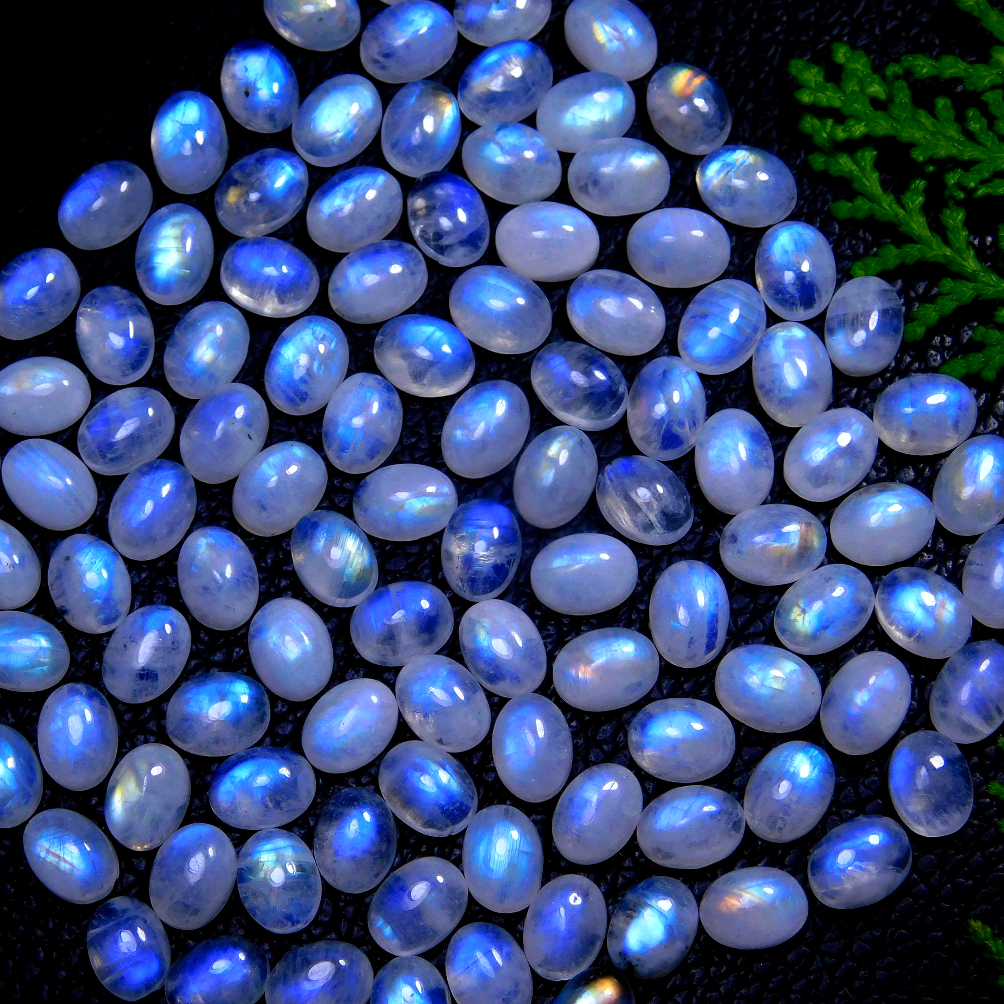 110Pcs 177 Cts Natural Rainbow Moonstone Loose Gemstone Lot Size 8X6 R-9852